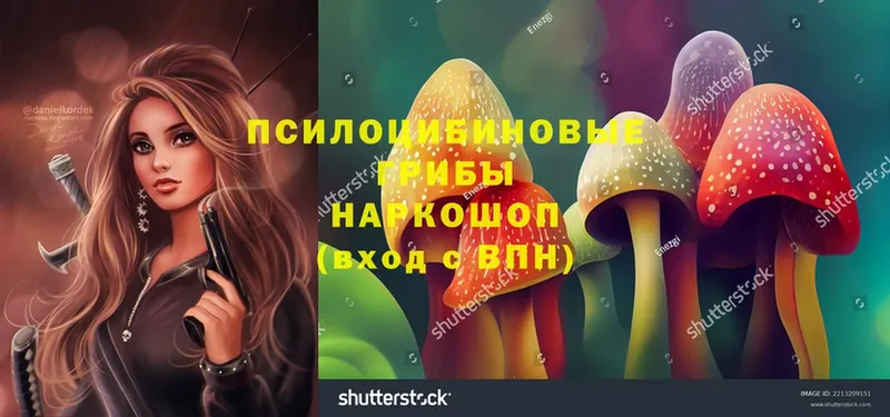 Галлюциногенные грибы Magic Shrooms  наркота  Улан-Удэ 